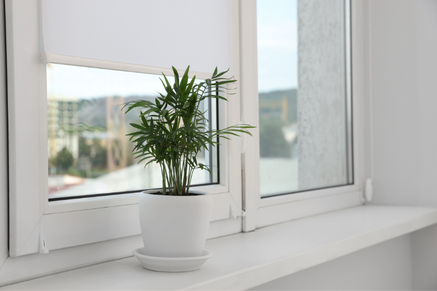 Fensterbänke